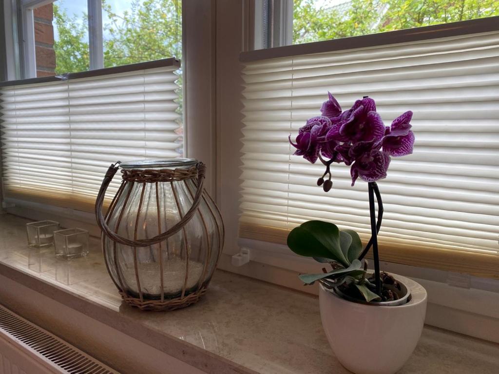 Haus Jenny Wohnung E1 Mit Terrasse Boltenhagen  Ngoại thất bức ảnh